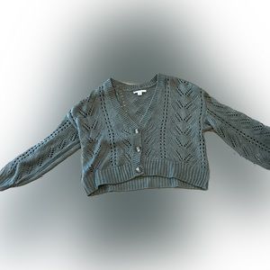 American Eagle Cardigan
